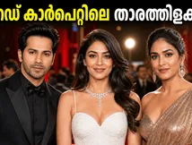 'ഹായ് ജവാനി' പ്രീമിയർ; റെഡ് കാർപെറ്റിൽ താരങ്ങളുടെ സ്റ്റൈൽ പരീക്ഷണങ്ങൾ; ആരാധകർ കാത്തിരിക്കുന്ന ആ ലുക്കുകൾ!