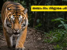 വെൽക്കം ടു ദി ജംഗിൾ: അഞ്ചാം ദിനത്തിൽ ബോക്സ് ഓഫീസിൽ നിർണ്ണായക പരീക്ഷണം! പ്രേക്ഷകർ കൈവിട്ടോ?