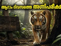 'വെൽക്കം ടു ദ ജംഗിൾ' ആറാം ദിവസത്തെ അഗ്നിപരീക്ഷ; ബോക്സ് ഓഫീസിൽ ചിത്രം പിടിച്ചുനിൽക്കുമോ?