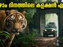 വെൽക്കം ടു ദ ജംഗിൾ: ഏഴാം ദിനവും ബോക്സ് ഓഫീസിൽ പതറാതെ! കളക്ഷൻ വിവരങ്ങൾ ഇങ്ങനെ