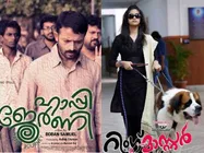 അന്ധന്‍മാരുടെ കാലം