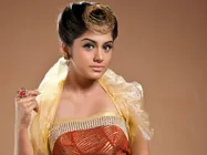 അയ്യോ മീര സിനിമ ഉപേക്ഷിച്ചിട്ടില്ല!!