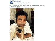 നായകുട്ടിയെ വില്‍ക്കാനുണ്ട്; ഗോപി സുന്ദറിന്റെ ഫേസ് ബുക്ക് പോസ്റ്റ് കാണണോ?