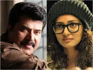   വികാരപ്രകടനത്തിനിടെ  അത് സംഭവിക്കാതെ നോക്കണം!! ആരാധകർക്ക് ഉപദേശവുമായി മമ്മൂട്ടി