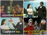 സണ്ണി ലിയോണിനെ തട്ടിയെടുത്ത് സലിം കുമാറിന്റെ മാസ്! അല്‍ മണവാളാന്‍ എഫക്ട്, ചിത്രത്തിന് അടപടലം ട്രോൾ