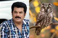 ആ സിനിമയുടെ വിജയത്തിന് പിന്നിൽ പ്രവർത്തിച്ചത് മൂങ്ങ; സിനിമയിലെ അന്ധവിശ്വാസങ്ങളെപ്പറ്റി മുകേഷ് 