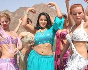 கார்த்திகாவுக்கு டும் டும் டும்!