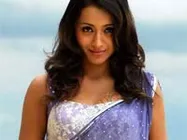 த்ரிஷா நடிக்க, தெலுங்கிலும் தயாராகிறது பாடிகார்ட்!