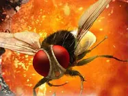 50 நாளில் 24.5 கோடி...இரு மொழிப் பட வரலாற்றில் புதிய சாதனை!