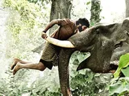 4 வது நார்வே தமிழ் திரைப்பட விழா 2013 - சுந்தரபாண்டியன், கும்கி உள்பட 15 படங்கள் தேர்வு!