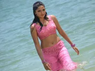 ‘அனுஷா’வும் ராசியில்லை... மீண்டும் பழைய பேருக்கே மாறிய சுனைனா