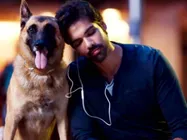 நாய்கள் ஜாக்கிரதை... நாயா வேலை செய்த ஈத்தோ... பேயா வேலை பார்த்த சிபி!