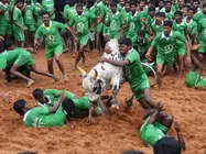 இளமி... ஜல்லிக்கட்டுக்காக ஒரு படம்!