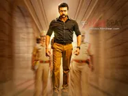 என்னாது, சிங்கம் 3 ரூ.100 கோடி வசூலித்துவிட்டதா?