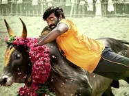 விஜய் சேதுபதி ஜல்லிக்கட்டில் காளையை அடக்கியது இப்படித்தான்!