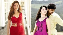 Tamannaah - விஜய் படத்தில் நடித்ததுதான் தமன்னா செய்த பெரிய தப்பாம்.. சூப்பர் ஸ்டார் பஞ்சாயத்தில் இதுவேறயா? 