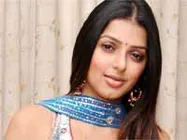 భూమికను వాడుకుంటున్న.. 