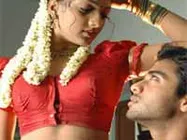 'సీతాకోక చిలుక' చూడొచ్చు