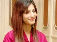 సిద్దార్ద సరసన శ్రుతి హాసన్..