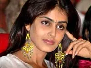 నాకు కాస్త పెద్ద సైజే ఇష్టం: జెనీలియా