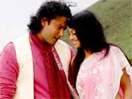 మహేష్‌ బాబు దర్శకత్వంలో 'రెడీఫర్‌ ఢీ'