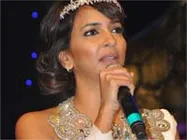 బాలీవుడ్ చిత్రాలలో నటించడానికి సిద్దమైన మంచు లక్ష్మీ ప్రసన్న