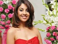 ఏ వారస హీరోని ఉద్దేశించి 'మిరపకాయ' హీరోయిన్ రిచా సెటైర్స్ !?