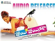 'హాయి హాయిగా' పాటల విడుదల