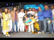 ఆ కుటుంబాలపై దాసరి సెటైర్లు @ లవ్ టచ్ (ఫోటోలు)