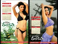 వేడి పుట్టించే....సెక్సీ  క్యాలెండర్ (ఫొటోలు)