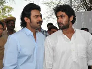 రానా,ప్రభాస్ గెస్ట్ లుగా ఆ చిత్రంలో ?