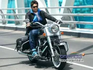 క్రేజీ డైరక్టర్ తో...అల్లు అర్జున్ తమిళ ప్రాజెక్టు ఓకే