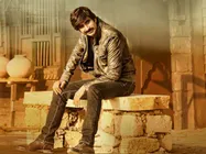 రవితేజకు తిక్క రేగింది...కమిటయ్యాడు