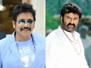 పోట్లాటకు రెడీ అయిన బాలయ్య, నాగార్జున అభిమానులు