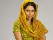 మళయాల సినీ ఇండస్ట్రీ లో కలకలం..., టాప్ హీరోయిన్ అరెస్టు  