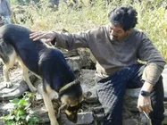 దేవదాసుగా మారిన పూరి జగన్నాథ్.. చార్మీకి కనెక్షన్ ఏమిటంటే..