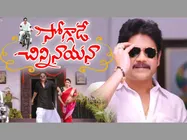 ఆఫీసర్ షాక్ నుంచి తేరుకుని.. 50 కోట్ల దర్శకుడుతో నాగార్జున ప్లానింగ్!