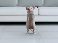 రవిబాబు మూవీ ‘అదుగో’ టీజర్ వచ్చేసింది