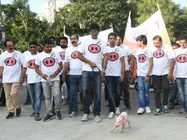 స్టార్ హీరోలు లేరు... అందుకే పందితో పాదయాత్ర: రవిబాబు సంచలనం!