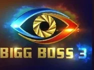  ‘బిగ్ బాస్’ హౌస్‌లో ప్రేమలో పడలేదు.. ముగ్గురు పిల్లల తల్లి అలా చేసిందని..