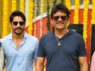 నమ్ముకున్న డైరెక్టర్‌కు హ్యాండిచ్చిన అక్కినేని హీరోలు.. ఆ సినిమా కష్టమేనా?