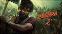 Pushpa 2 : ఆ ఫేమస్ టీవీలో అల్లు అర్జున్ 'పుష్ప 2' టెలికాస్ట్... ఫైనల్‌గా మేకర్స్‌కు తప్పిన టెన్షన్!