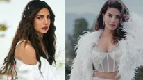 Priyanka Chopra ప్రియాంక చోప్రా నటించిన తెలుగు సినిమా గురించి మీకు తెలుసా? హీరో ఎవరంటే? 